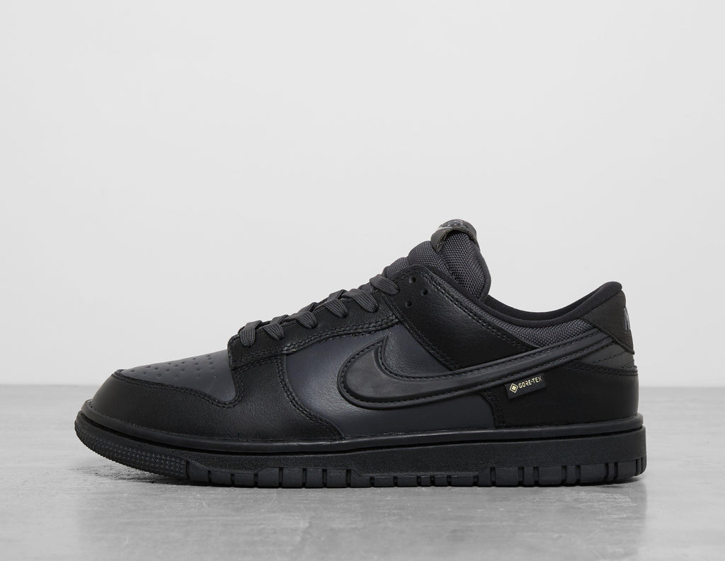 Nike Dunk Low GORE-TEX