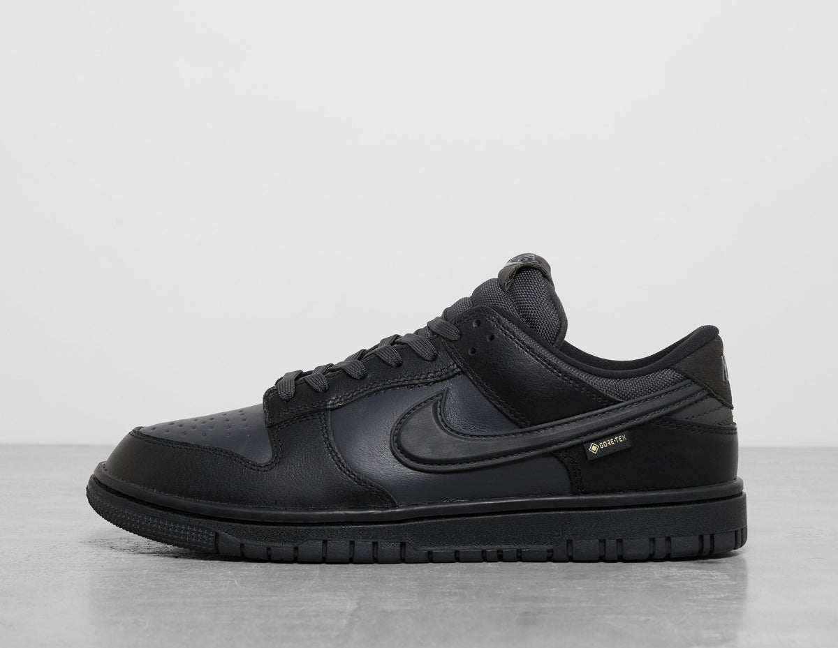 Nike Dunk Low GORE-TEX