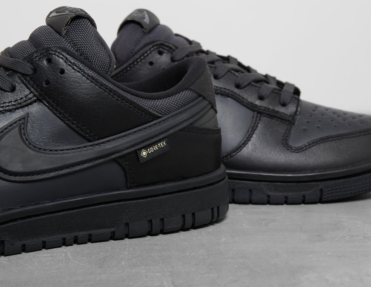 Nike Dunk Low GORE-TEX